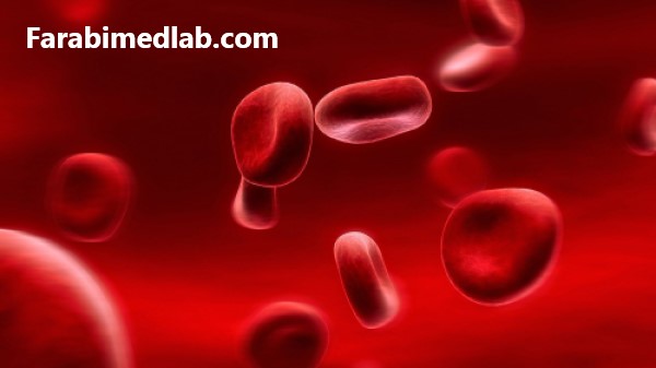 RBC در آزمایش خون چیست؟ | آزمایشگاه فارابی