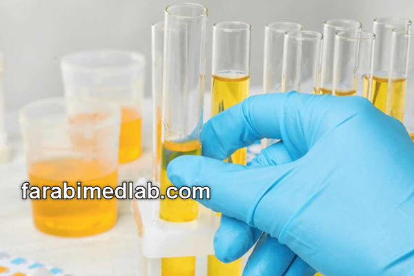 وظایف سلول های اپیتلیال | آزمایشگاه فارابی