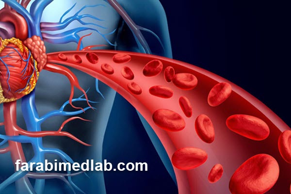 معنی borderline در آزمایش چربی خون