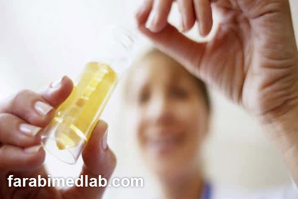 چرا هورمون اچ سی جی معیار اصلی تشخیص بارداری است؟