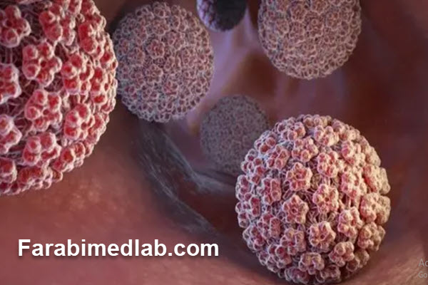 تست-HPV-چگونه-است؟ تست HPV چگونه است؟